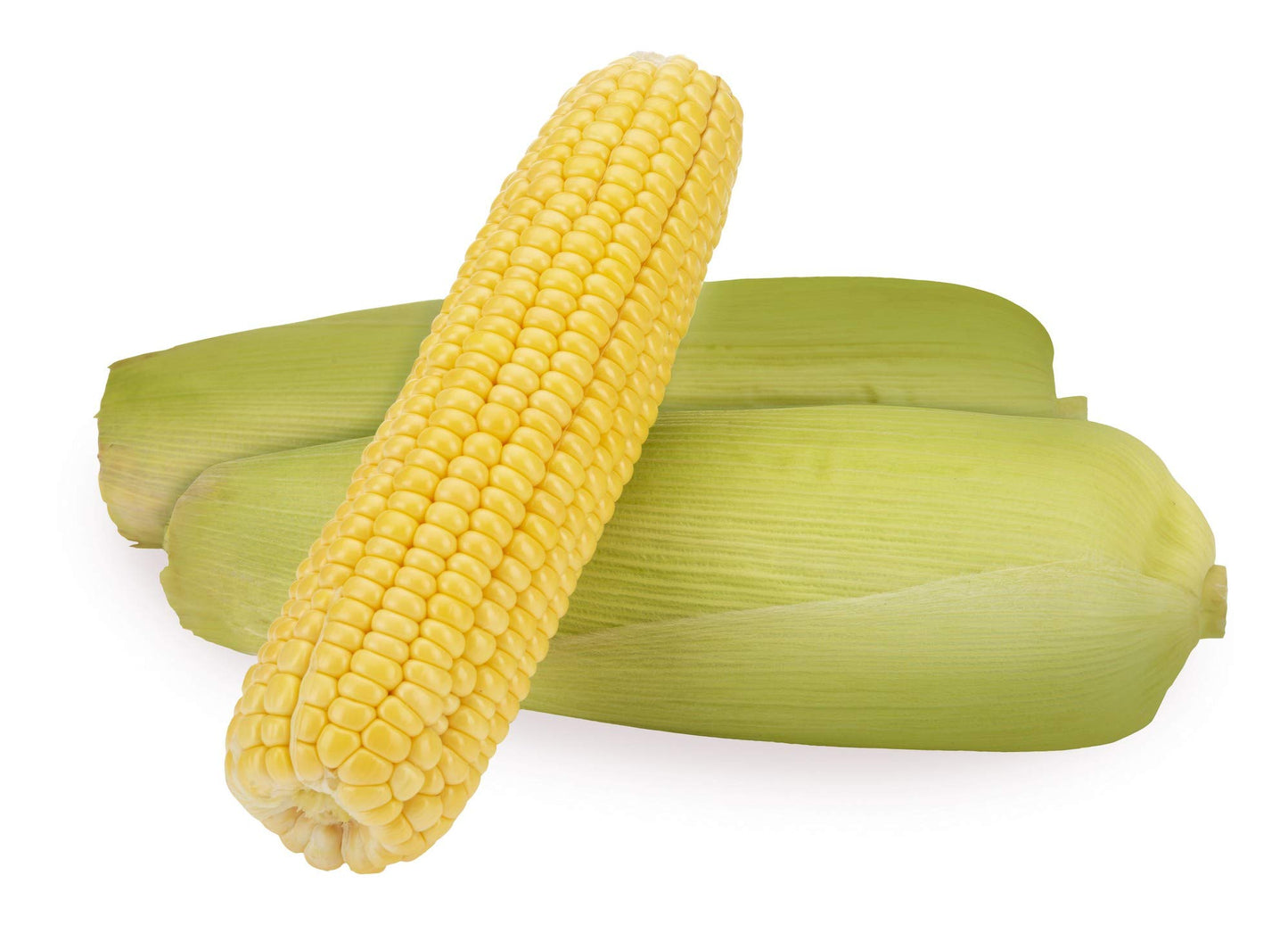 Corn