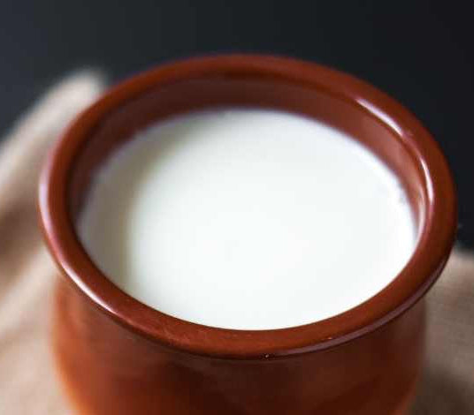 Tok Doi (Curd) 500gm Best Quality