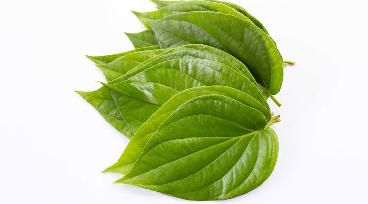 Betel leaf