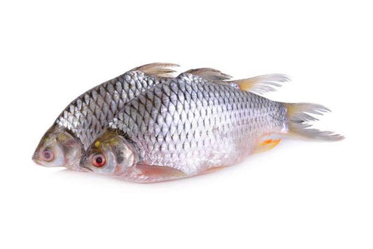 Putha Fish 500gm