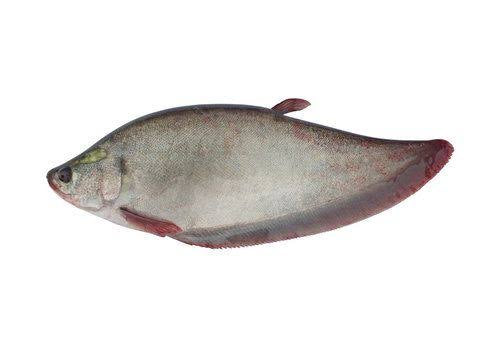 Kanla Fish 300gm Fresh