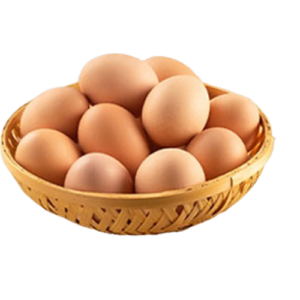 Ducks egg