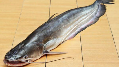 Boual Fish (বোয়াল মাছ) 500gm