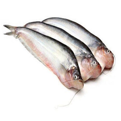 Fresh Pabda (Medium Size)
