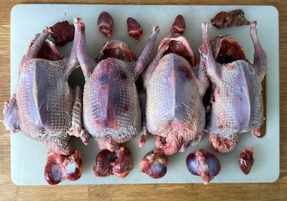 Pigeon Meat curry cut
