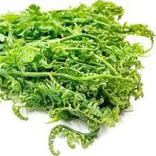 Dheki saag