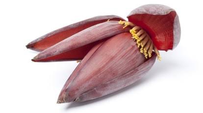 Banana flower 1pcs Big Size