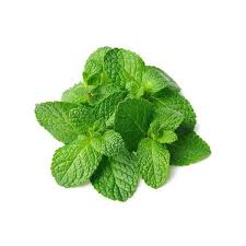 Mint leaves ( পুদিনা পাতা)