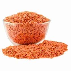 Mosoor dal lose