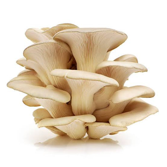 Oyster mushroom 500gm