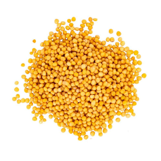 Yellow mustard seeds ( shorse)